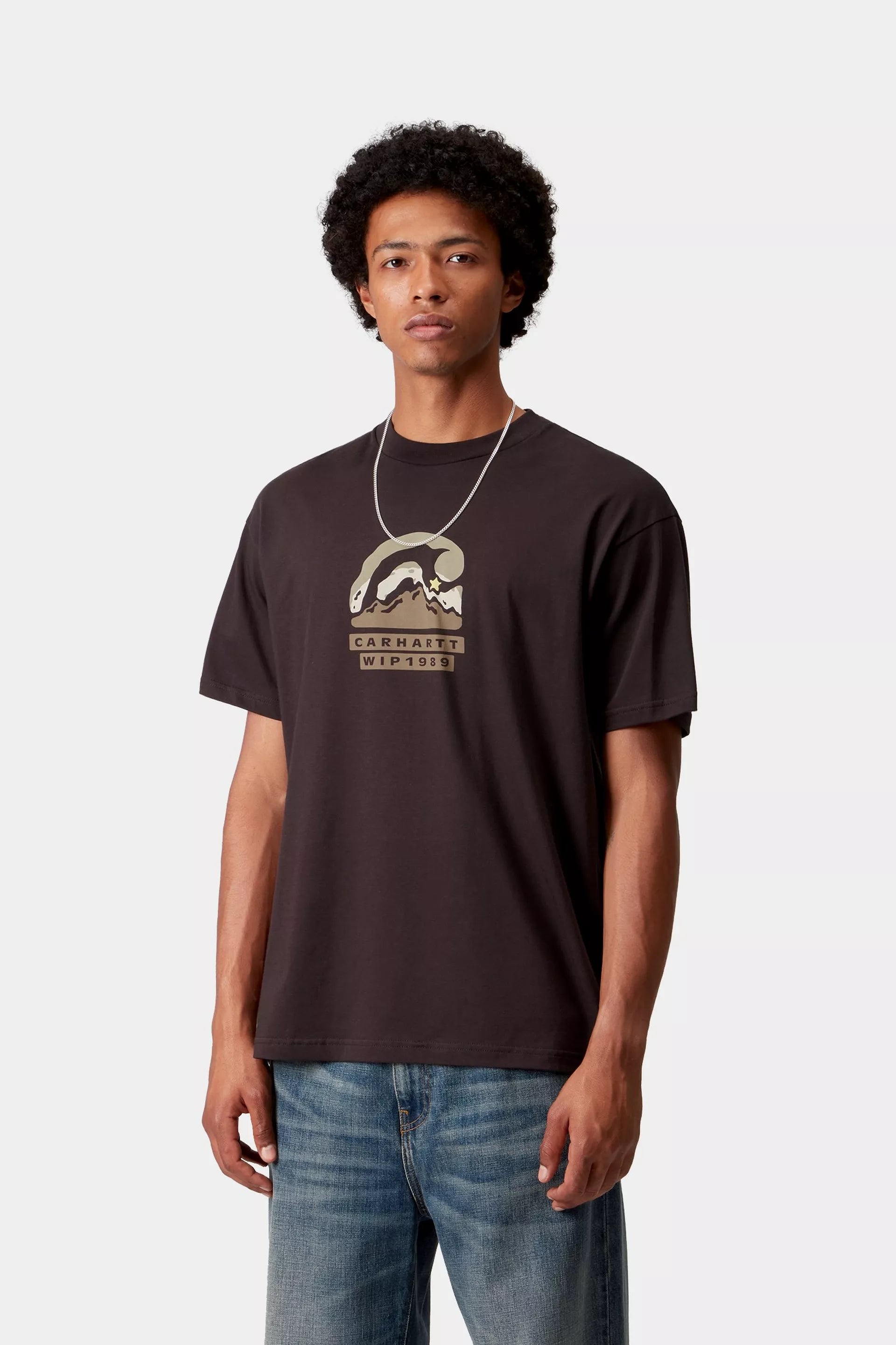 Carhartt WIP S/S Rising Helix Graphic Tee Palisander