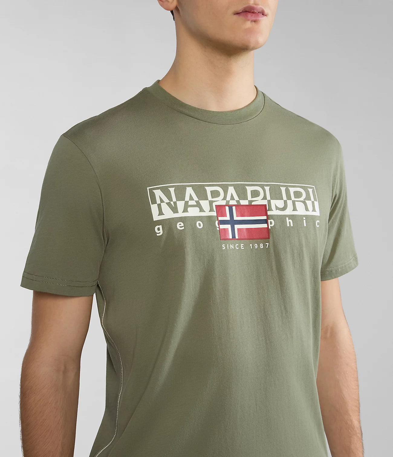 Napapijri Aylmer Short Sleeve T-Shirt Green Lichen