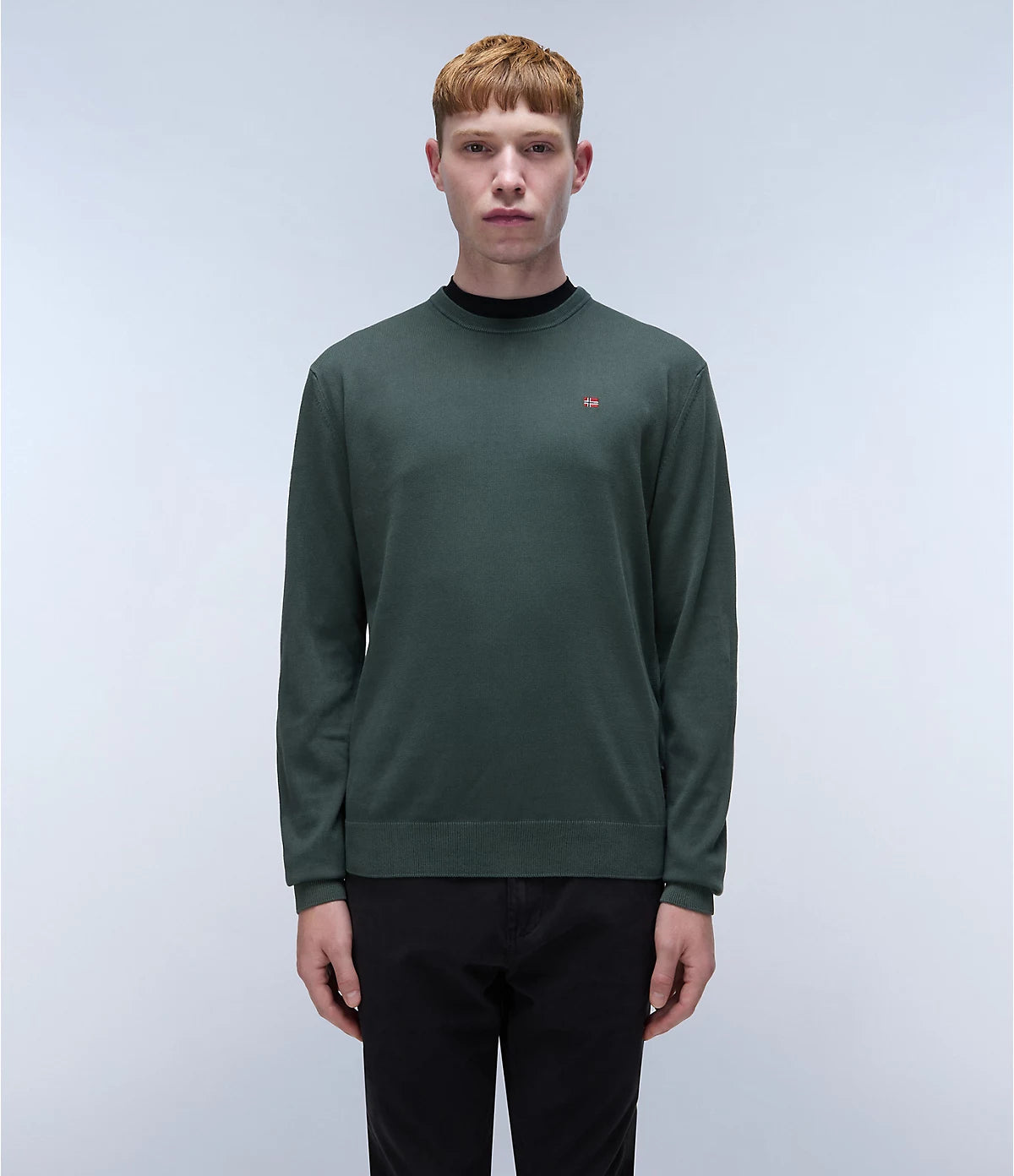 Napapijri Droz Jumper Sweatshirt in Green Urban