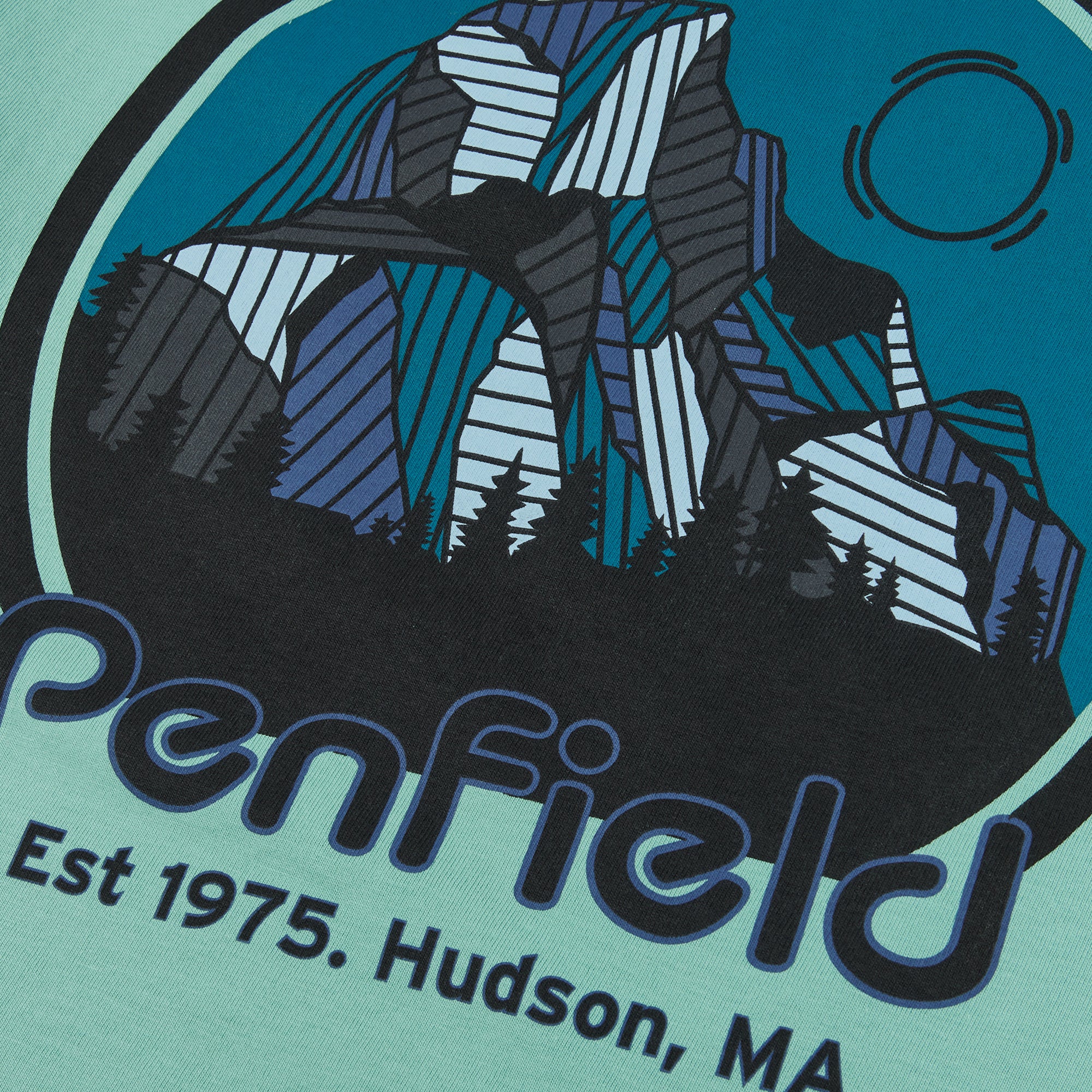 Penfield Yosemite Circle Backprint T-Shirt Wasabi Green